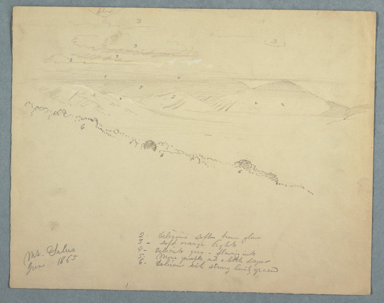 Dessin, Vue de Mount Salus, Jamaïque, juin 1865 - Frederic Edwin Church