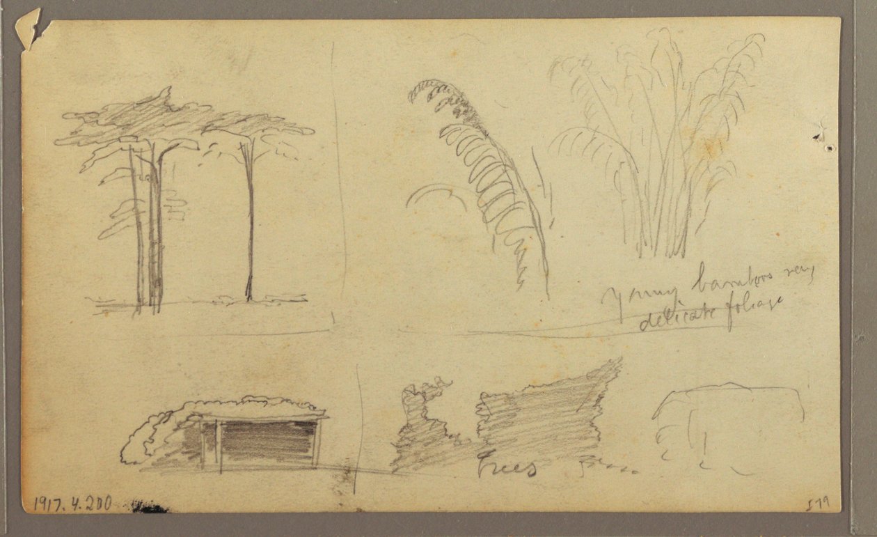 Dessin, Vues de la rive orientale de la rivière Guayas, en face de Guayaquil, Équateur, mai 1857 - Frederic Edwin Church