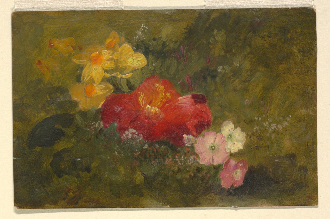 Dessin, fleurs sauvages, Jamaïque, 1865 - Frederic Edwin Church