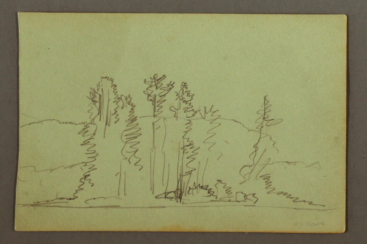 Dessin, rive boisée d