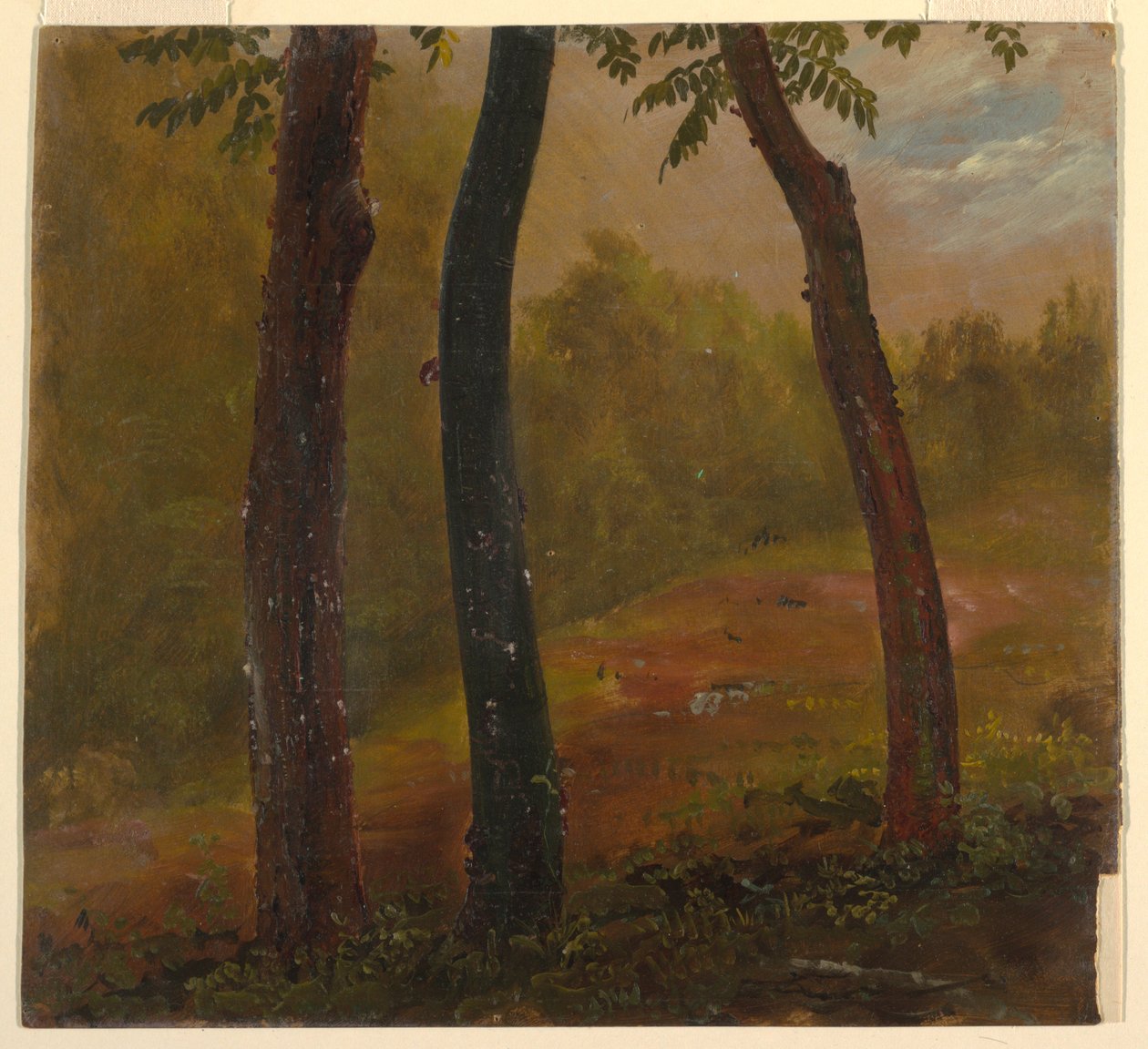 Dessin, scène de forêt, Jamaïque, 1865 - Frederic Edwin Church
