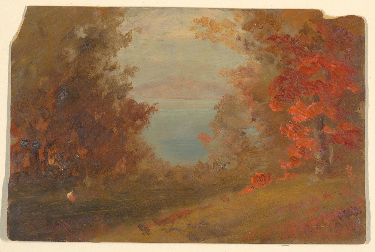 Dessin, scène de forêt en automne (Hudson, New York ou Maine), 1860-70 - Frederic Edwin Church