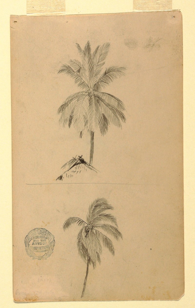 Dessins. Deux croquis. Palmiers. - Frederic Edwin Church