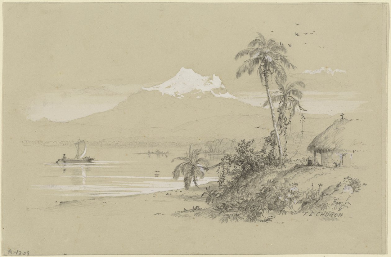 Fleuve Magdalena, Nouvelle-Grenade, Équateur - Frederic Edwin Church