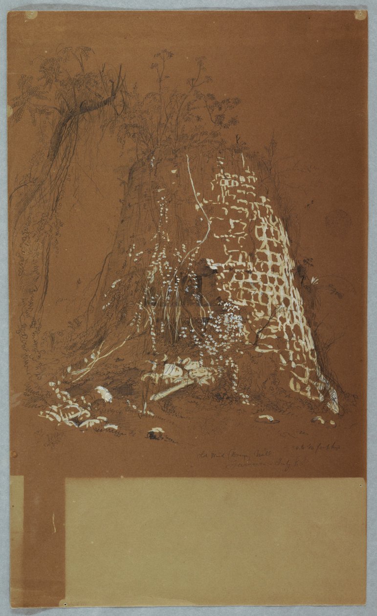 Vieux moulin à vent, Jamaïque - Frederic Edwin Church