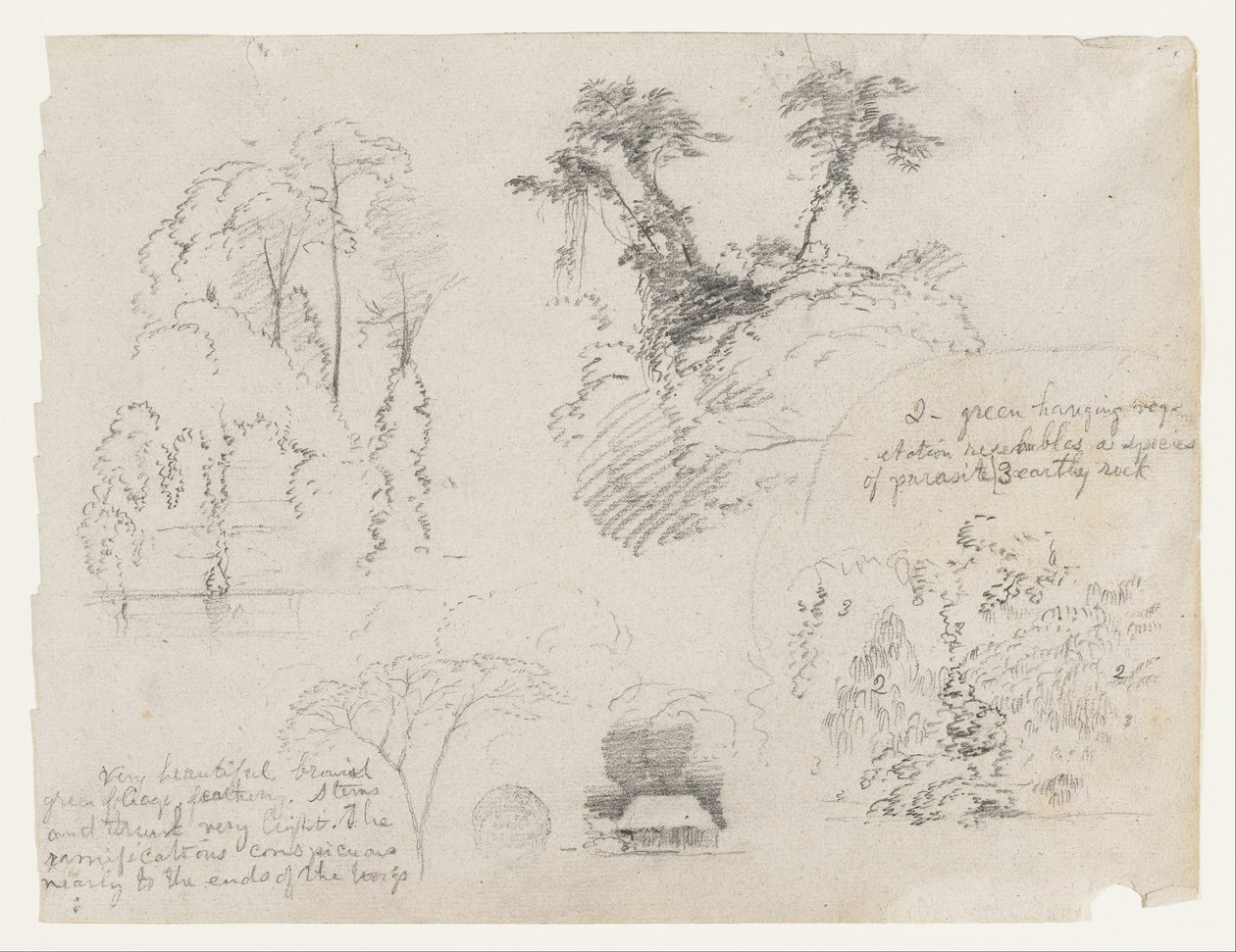 Croquis d