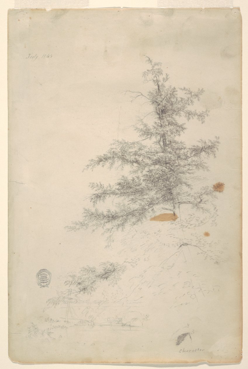 Arbre, ruisseau - Frederic Edwin Church