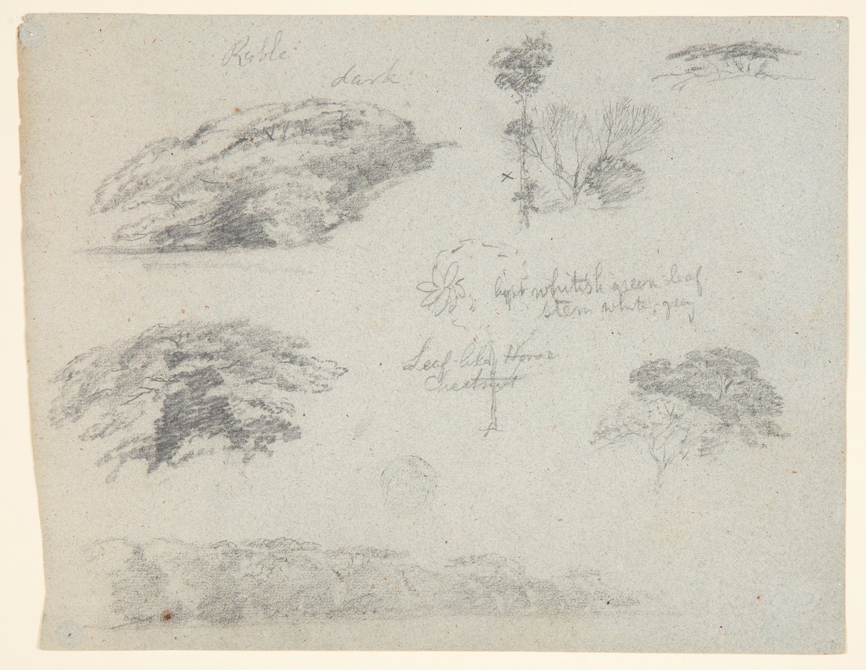 Arbres, Cimes des Arbres, et une Berge Boisée, Saddleback, Maine - Frederic Edwin Church