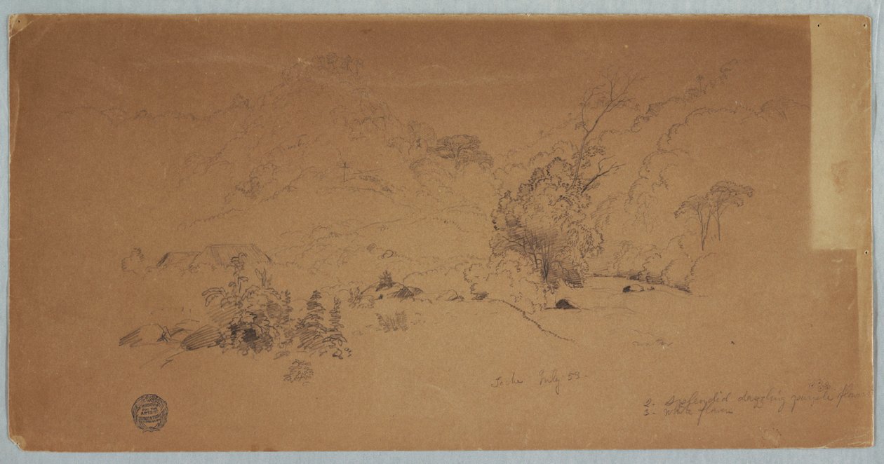 Vue de Toche, Colombie - Frederic Edwin Church