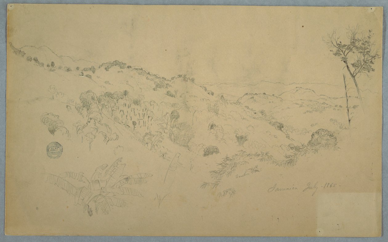 Vallée boisée avec une grande fougère et des chaînes de montagnes lointaines, Jamaïque - Frederic Edwin Church