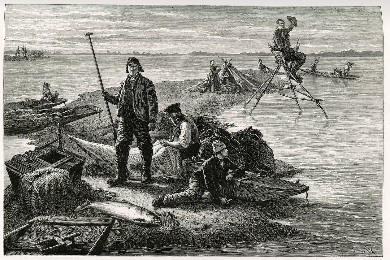 Pêche au saumon. Gravure par F.Lix, pour illustrer le récit « À travers l