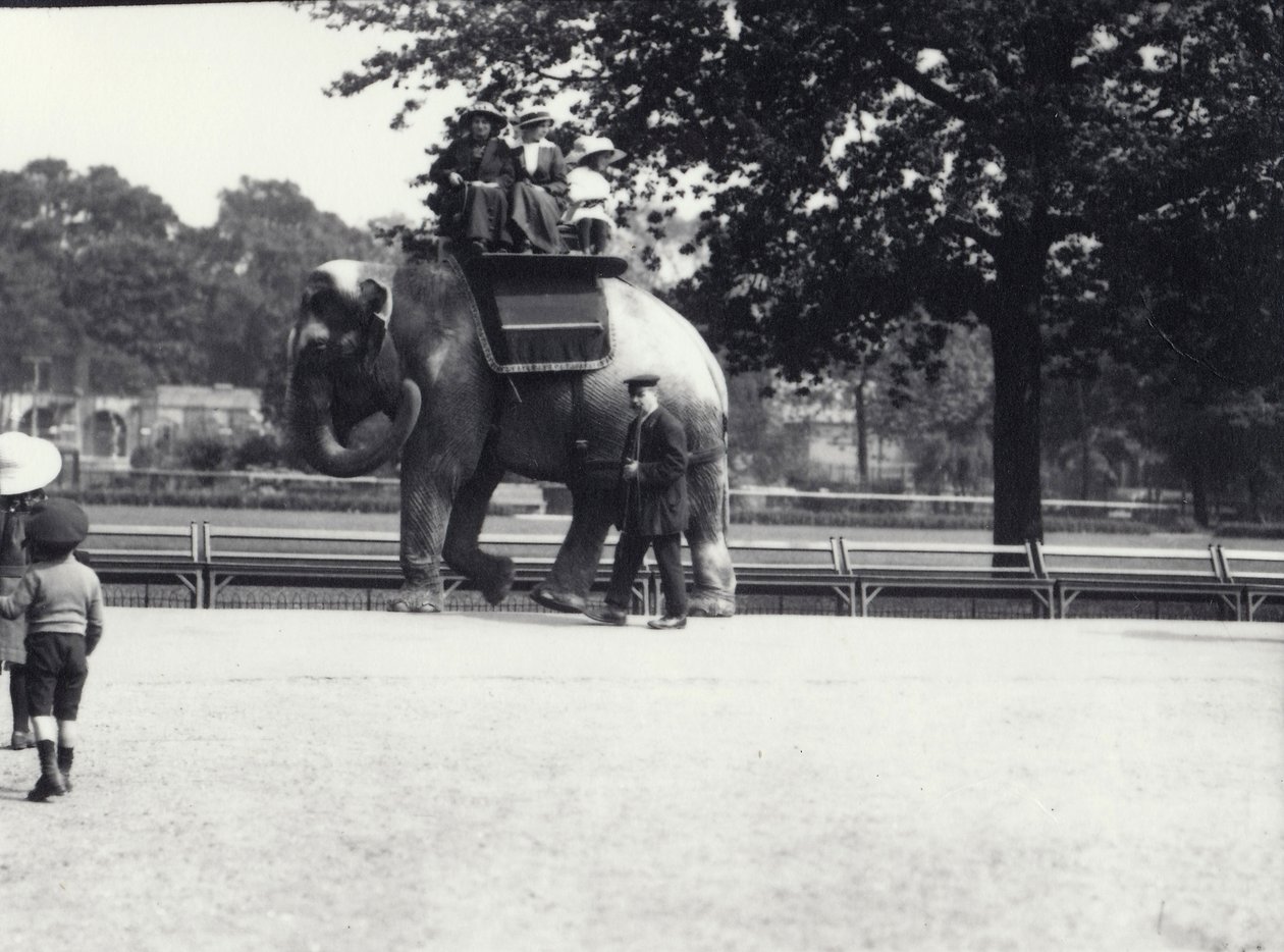 Un éléphant asiatique monté par deux dames et une jeune fille, avec un gardien à ses côtés, Zoo de Londres, mai 1914 - Frederick William Bond