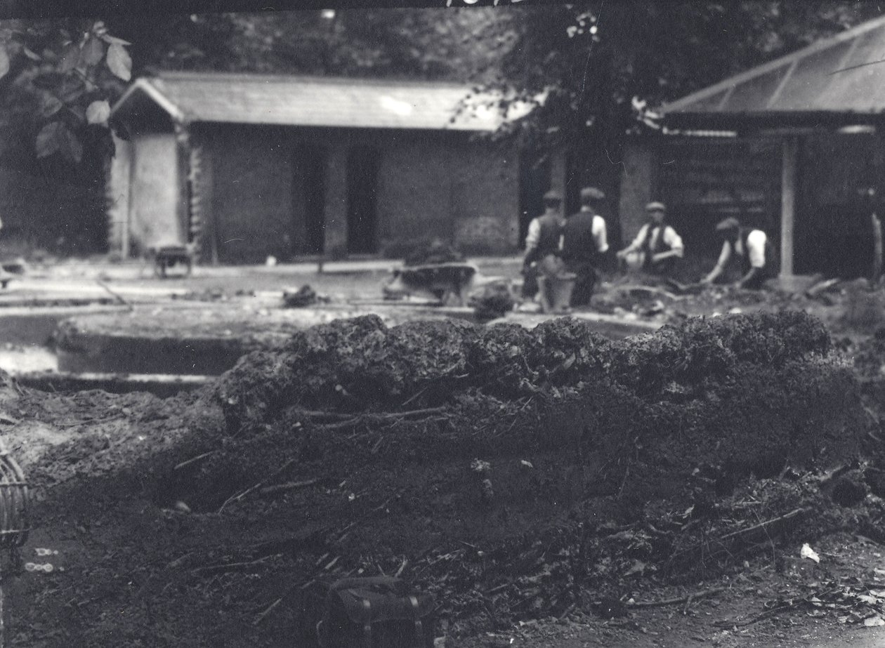 Hutte de castor avec gardiens en arrière-plan, zoo de Londres, juillet 1916 - Frederick William Bond