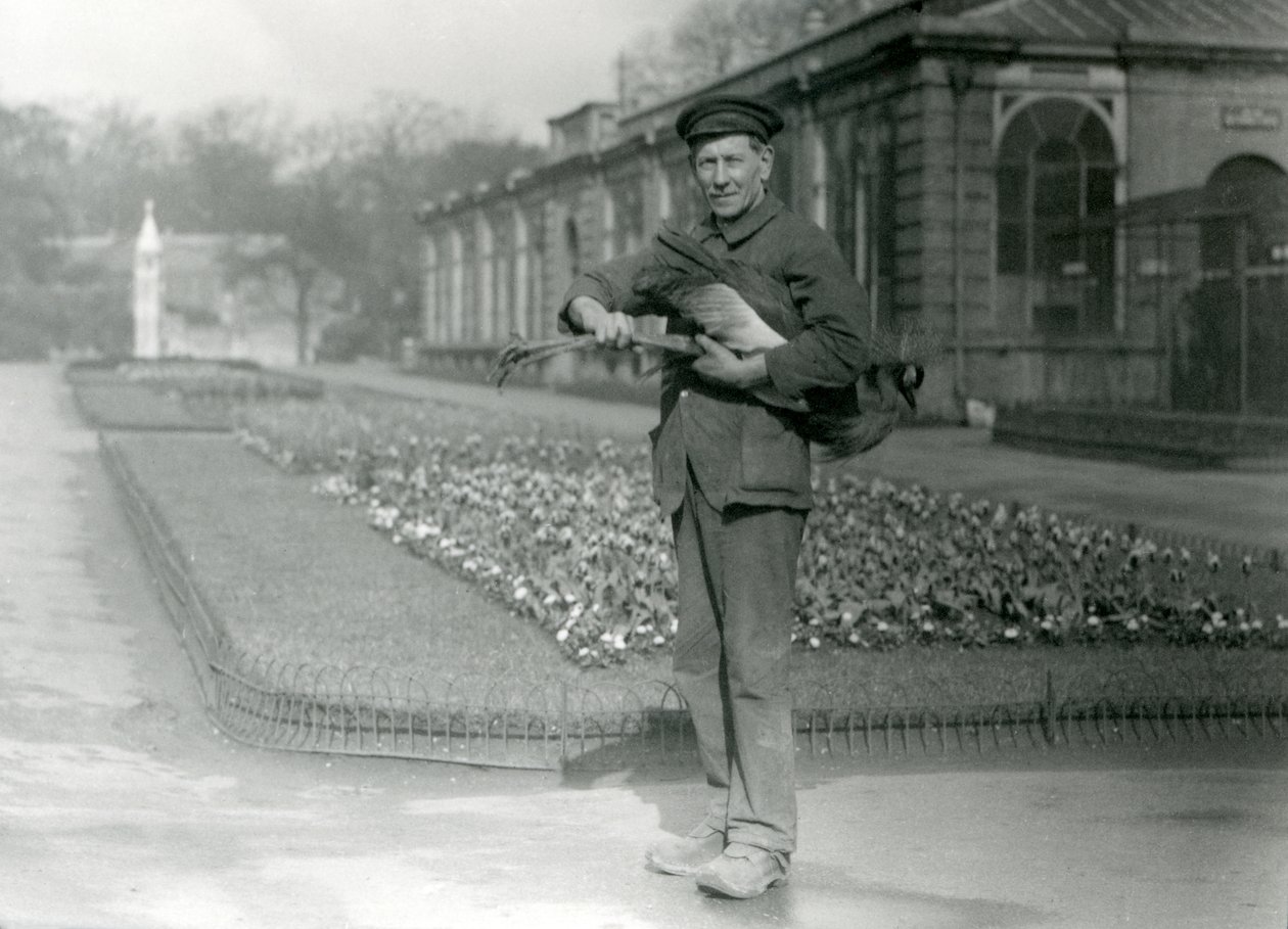 Gardien G. Blore portant une grue couronnée grise, Zoo de Londres, mai 1923 - Frederick William Bond