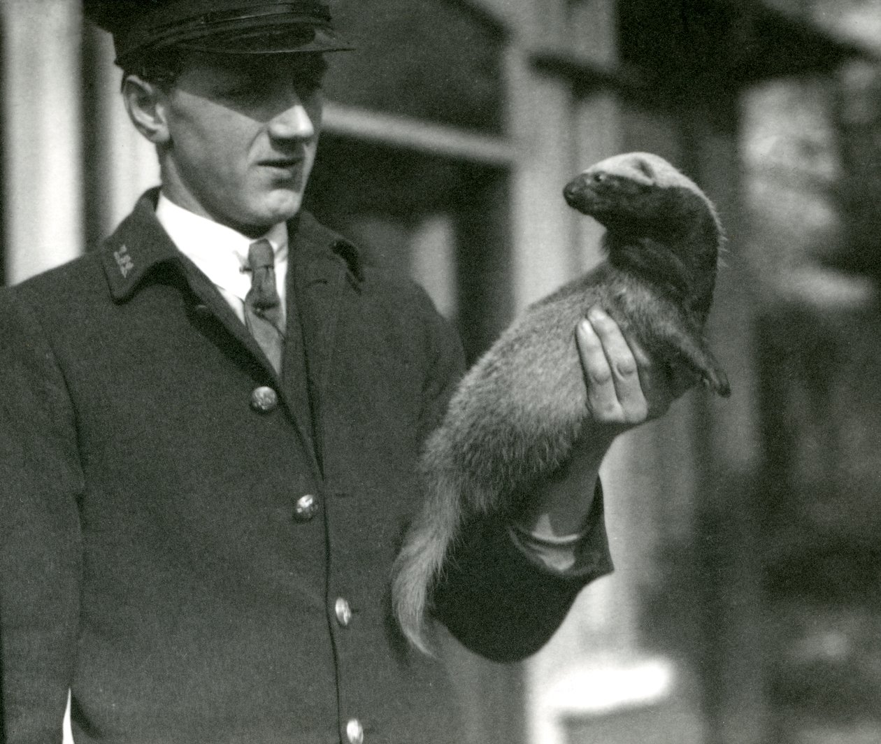 Le gardien Leslie Flewin tenant un grison, zoo de Londres, 1923 (photo nb) - Frederick William Bond