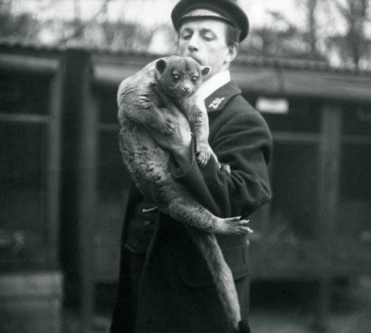 Gardien, Leslie Martin Flewin, tenant un kinkajou au zoo de Londres, février 1913 - Frederick William Bond