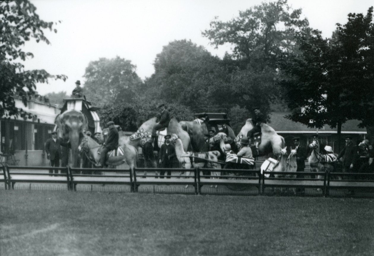 Animaux montés décorés pour les célébrations du Jour de la Paix, 19 juillet 1919 - Frederick William Bond