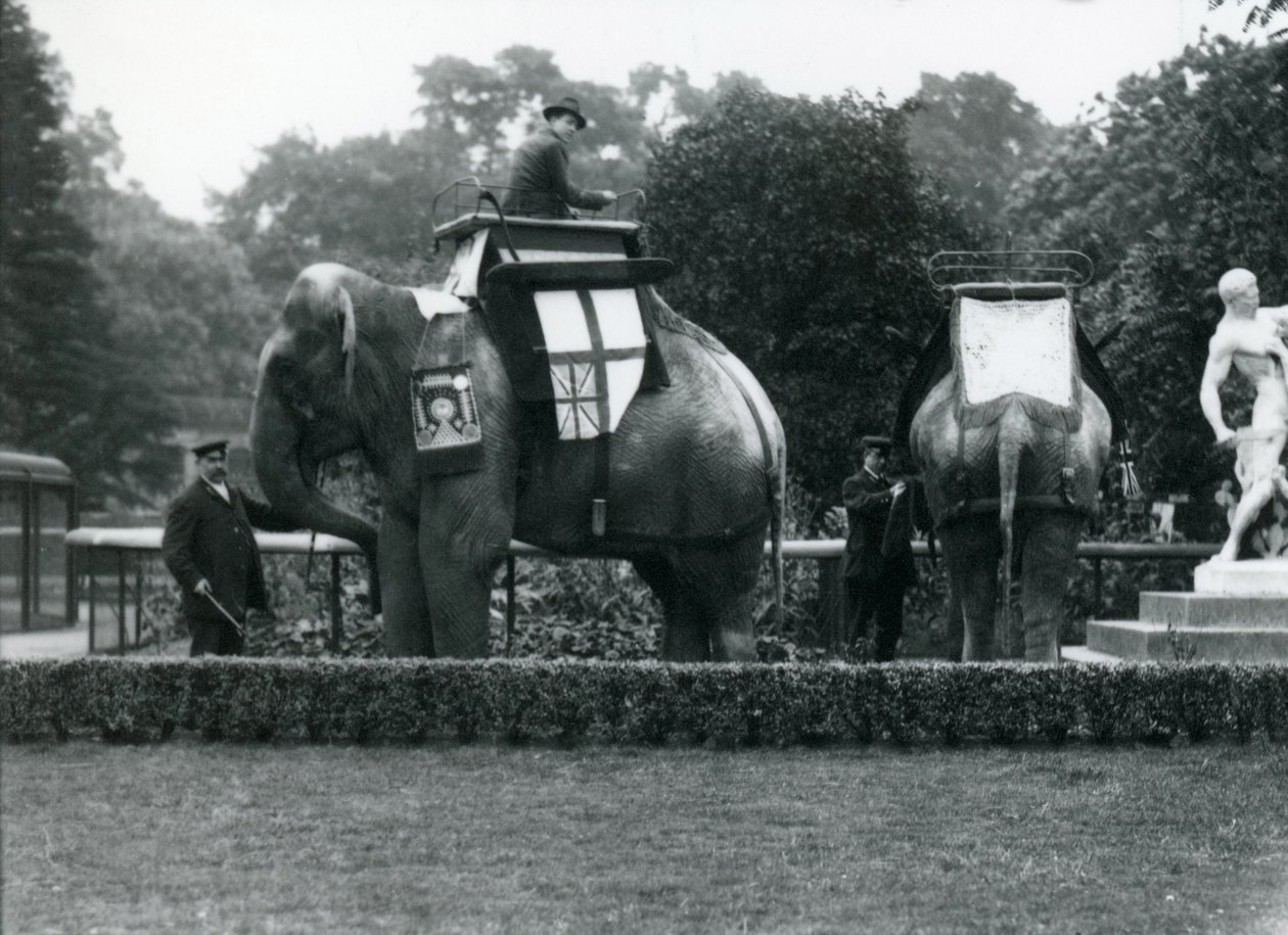Éléphants montés décorés pour les célébrations du jour de la paix, 19 juillet 1919 - Frederick William Bond