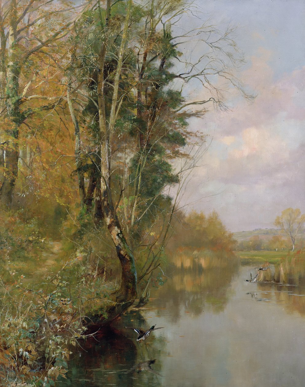 La rivière Frome, Morton près de Dorchester, 1901 - Frederick William Newton Whitehead