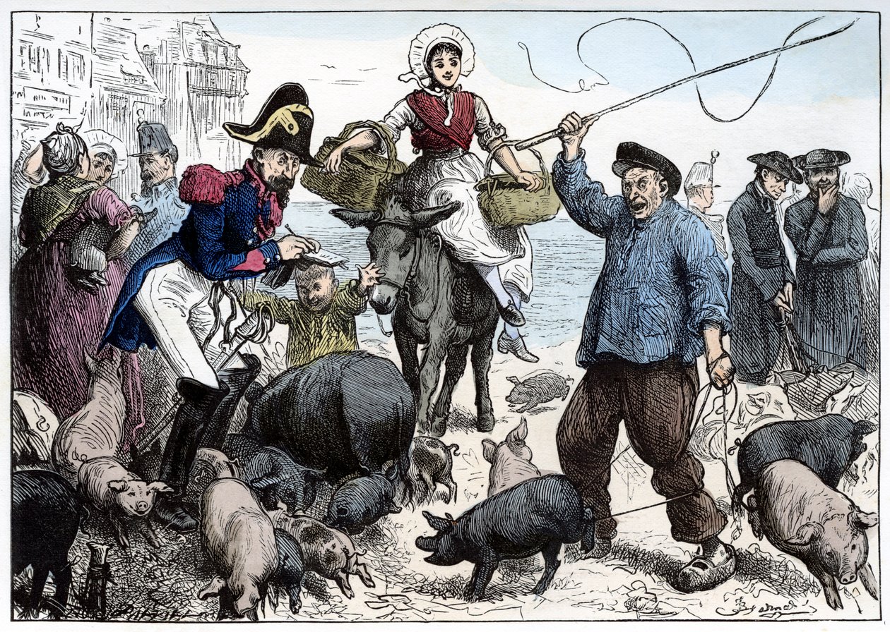 Marché aux cochons, Boulogne - Frederick Barnard