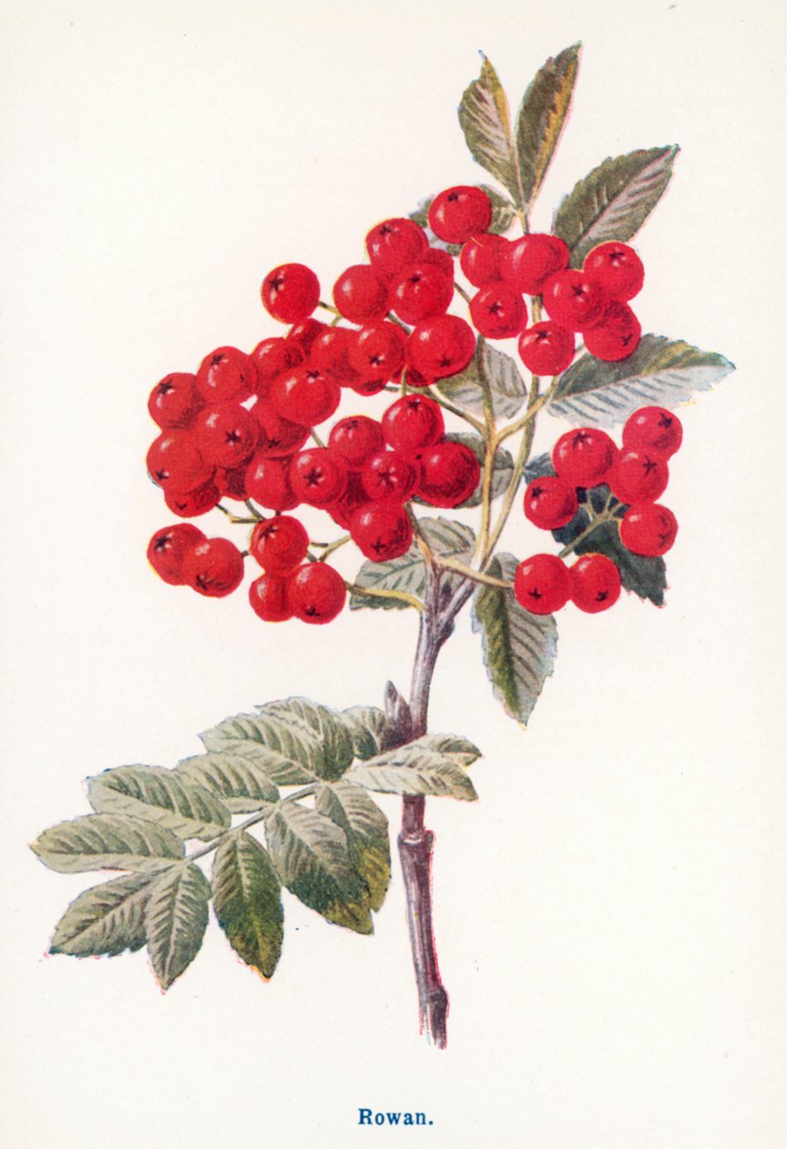  - Frederick Edward Hulme