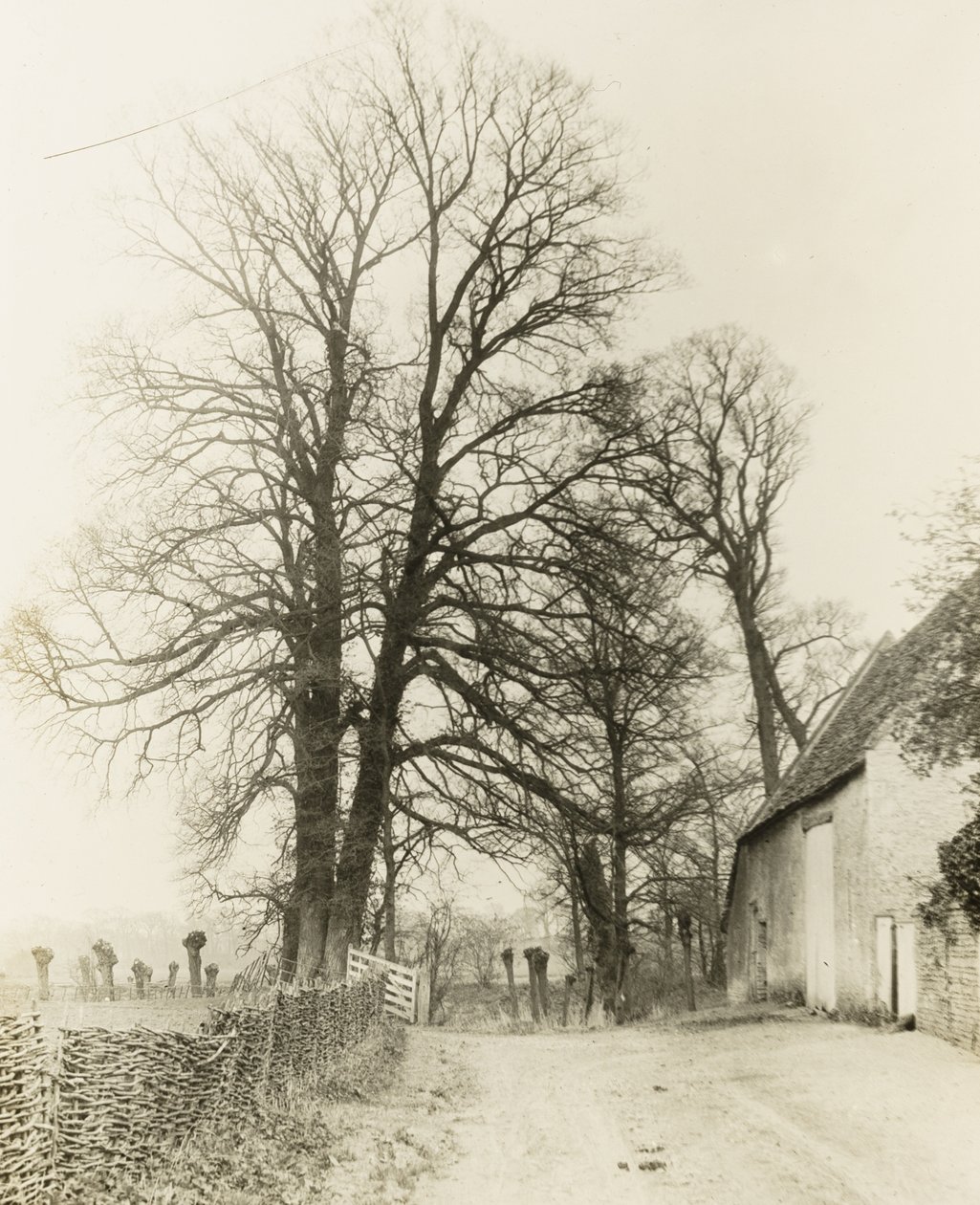 Manoir de Kelmscott : Route et entrée - Frederick H. Evans