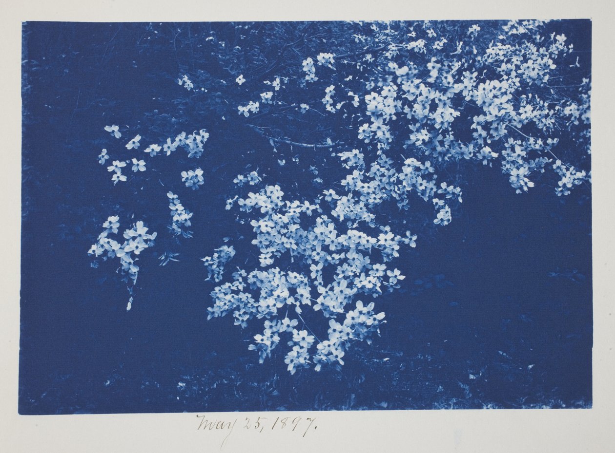 Sans titre, 25 mai - Frederick K. Coulson