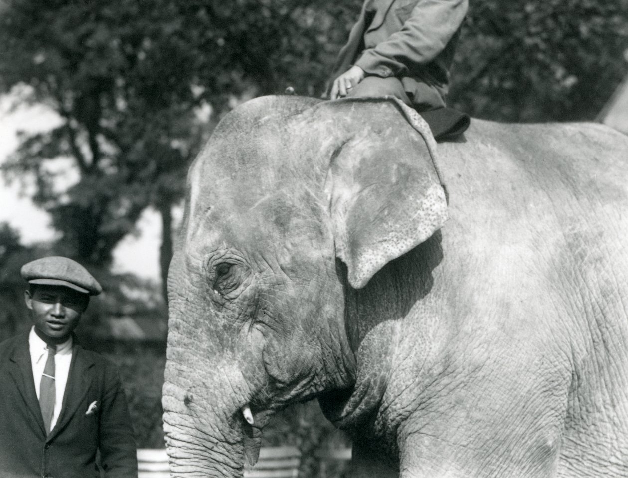 Un éléphant birman avec son dresseur et un autre homme, zoo de Londres, septembre 1926 - Frederick William Bond