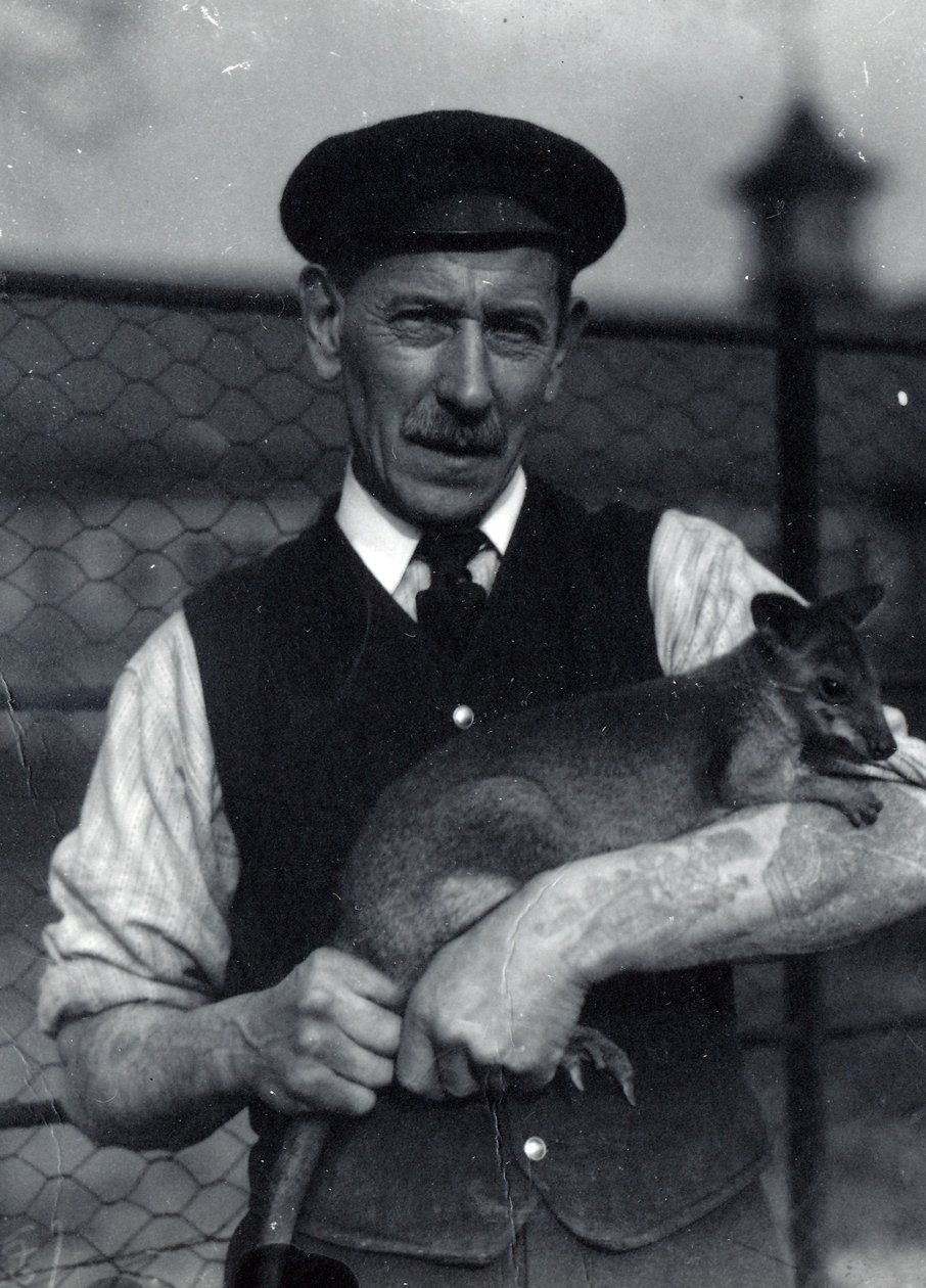 Un gardien tient un wallaby, octobre 1920 - Frederick William Bond