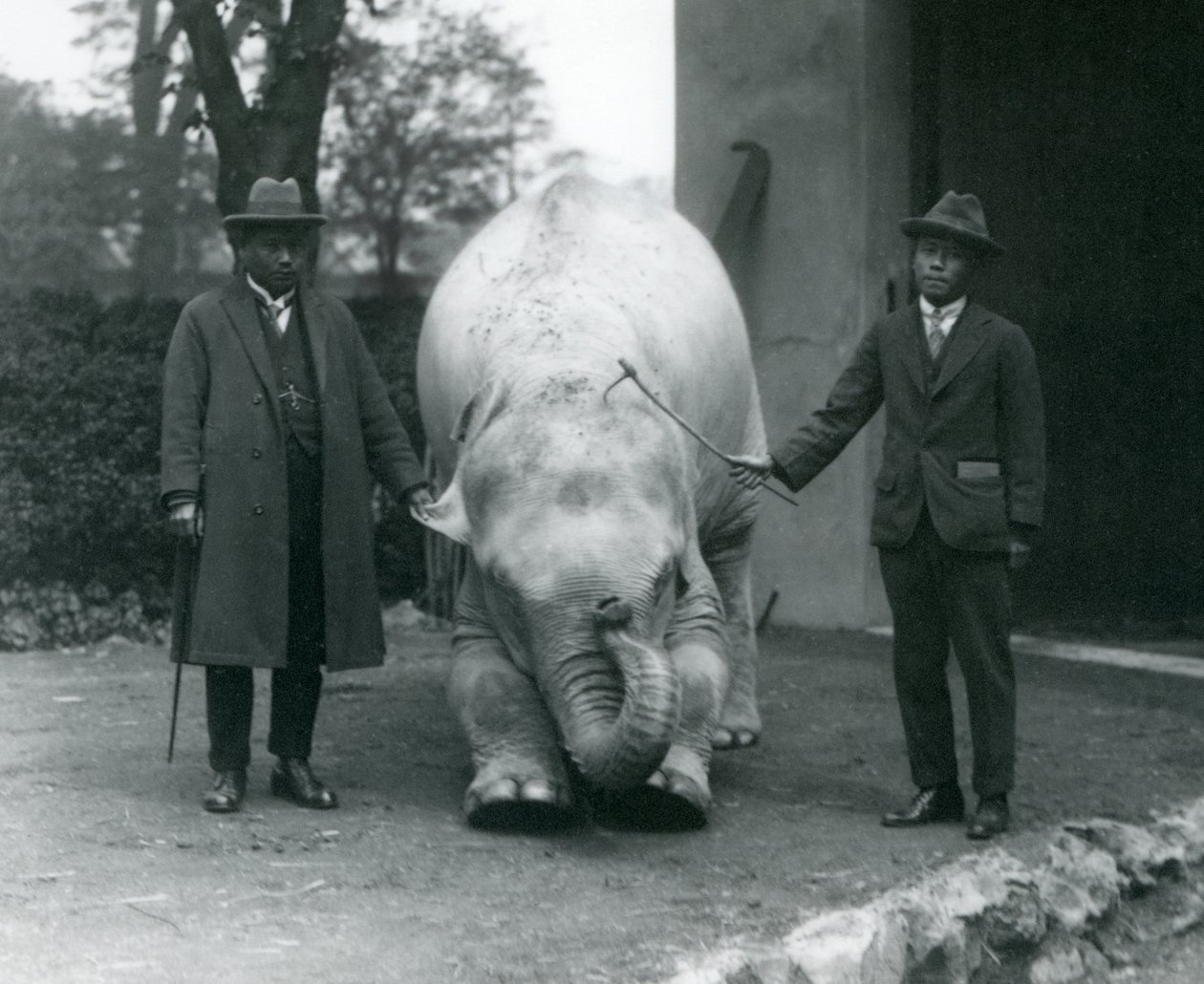 Éléphant Albinos Pawah avec Dr. Saw Po Min et son fils, Zoo de Londres, mai 1926 - Frederick William Bond