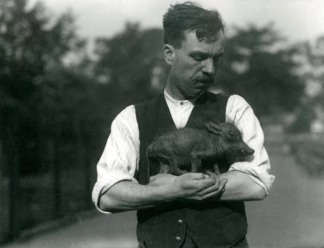 Le gardien Harry Warwick berçant un bébé phacochère dans ses bras au zoo de Londres, août 1922 - Frederick William Bond