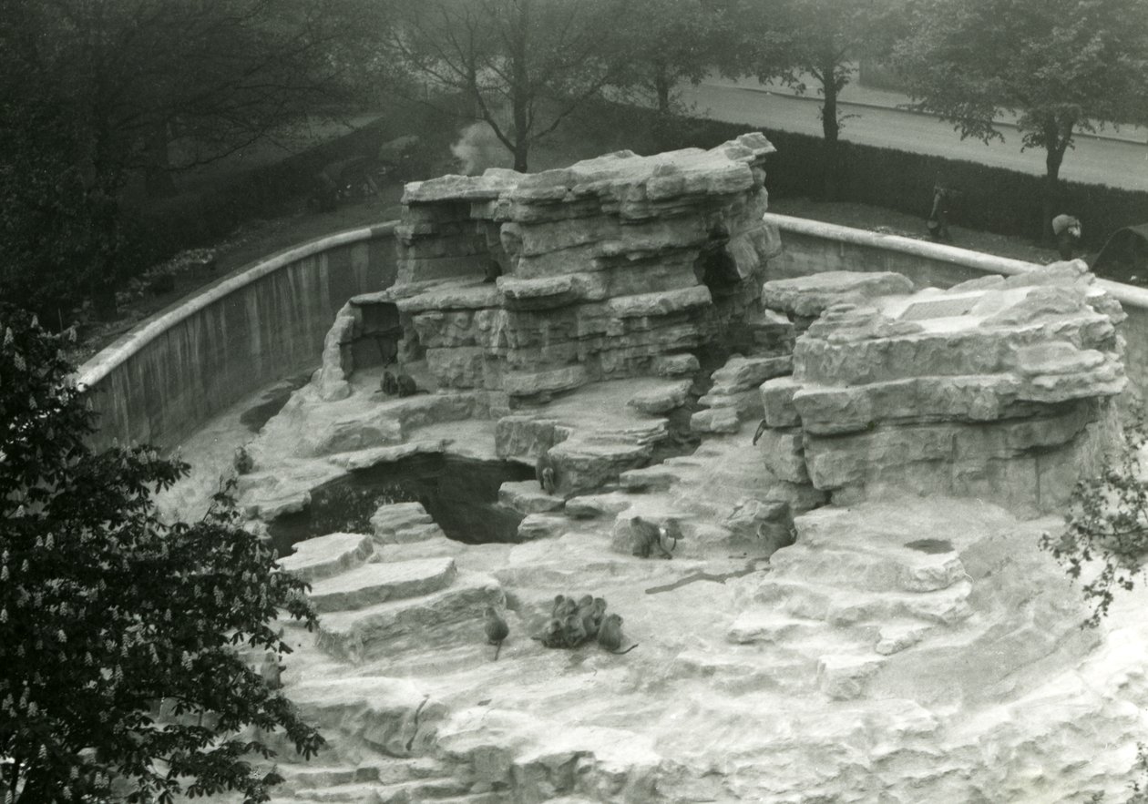 Colline des singes vue du sommet des terrasses Mappin, zoo de Londres - Frederick William Bond