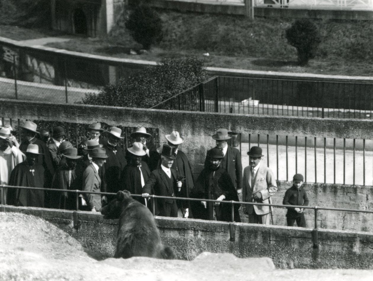 Sir Peter Chalmers Mitchell, avec le régent éthiopien Haile Selassie et son entourage, observant un ours brun sur les terrasses Mappin, zoo de Londres, 1924 - Frederick William Bond