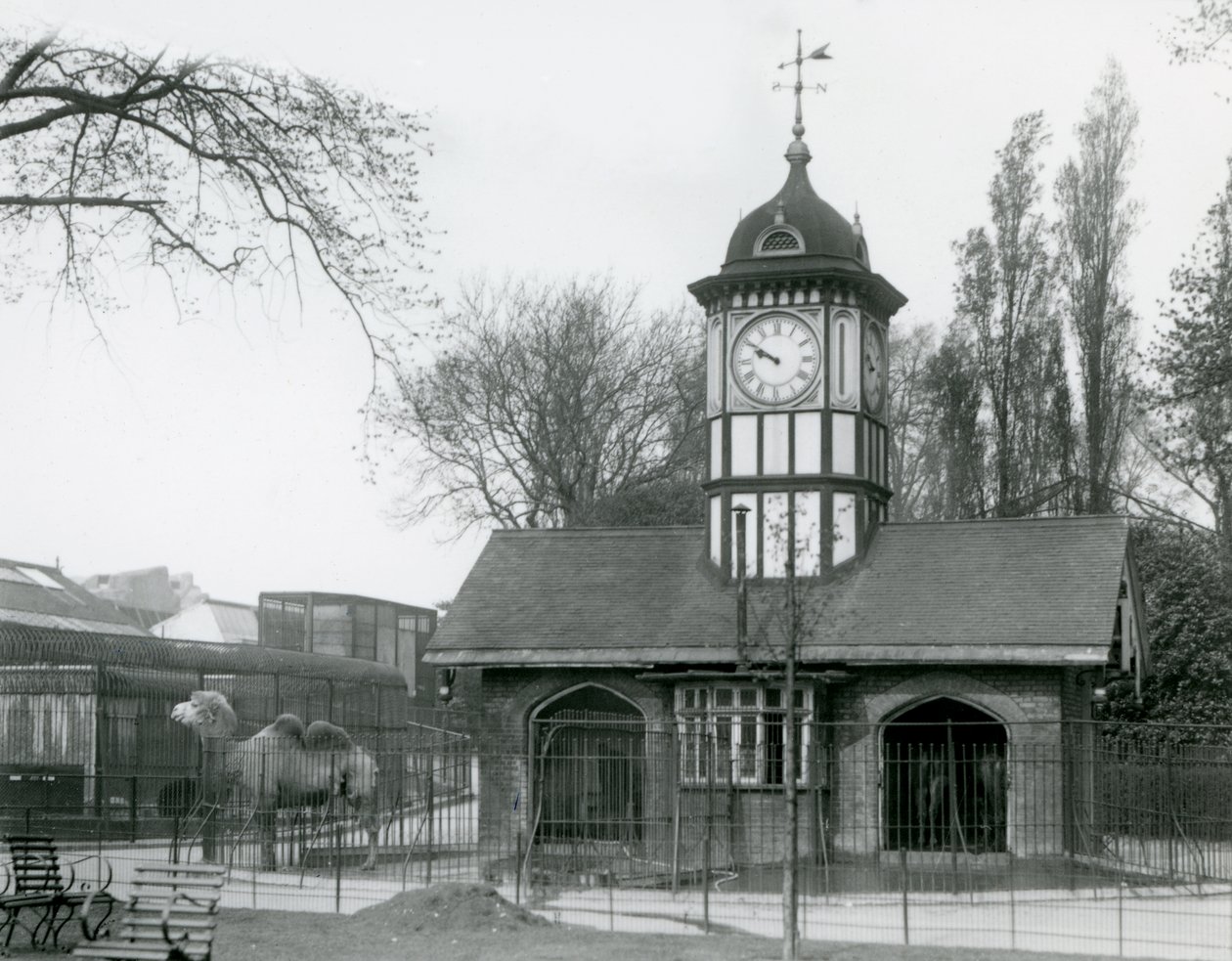 La Maison des Chameaux, Zoo de Londres - Frederick William Bond
