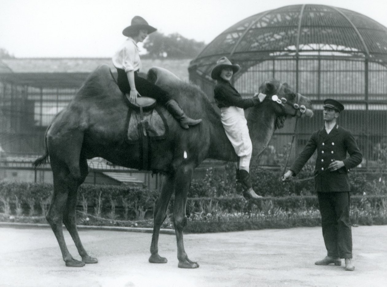 Deux cowgirls posent sur un chameau de Bactriane, tenu par son gardien, lors d