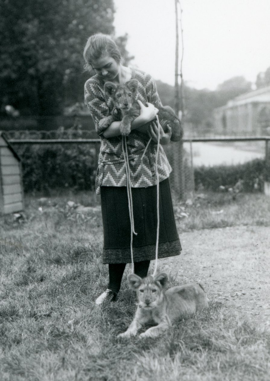 Deux lionceaux avec une jeune femme au Zoo de Londres en août 1925 - Frederick William Bond
