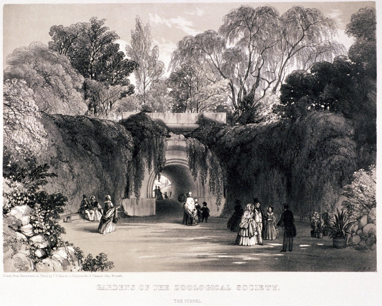 Jardins zoologiques, Regent