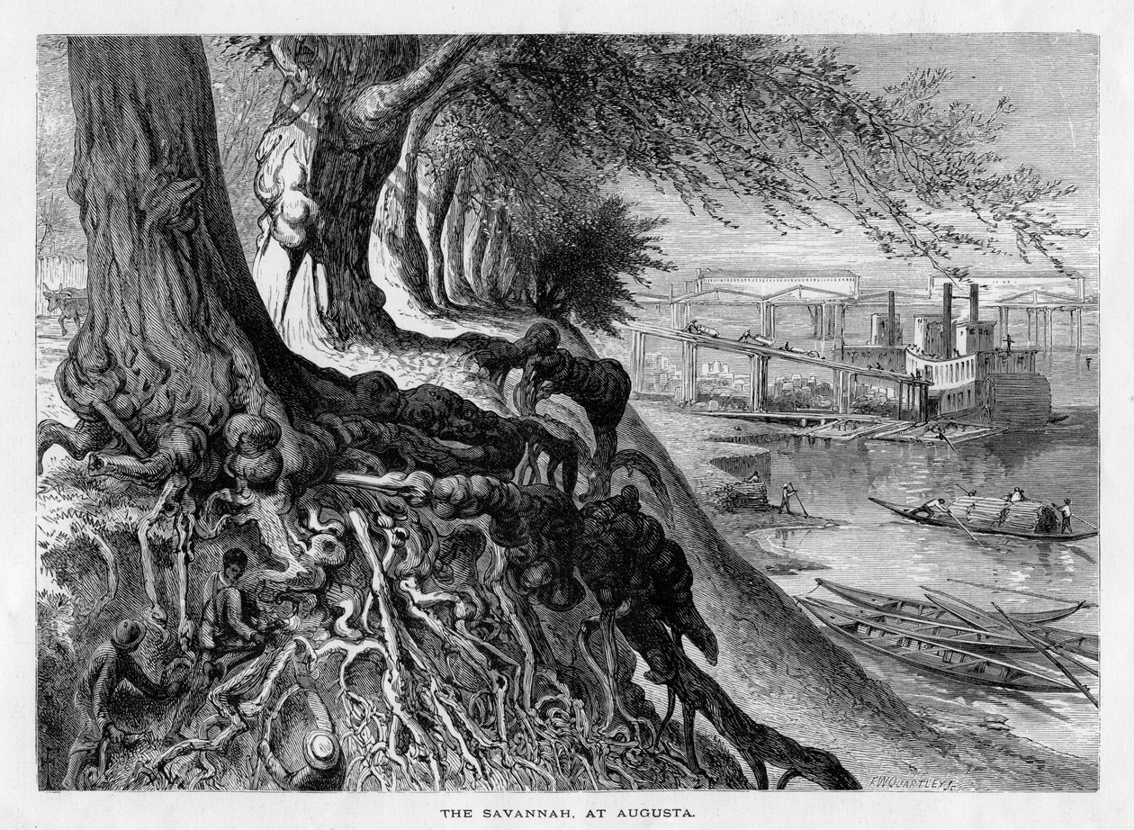 La Savannah, à Augusta, 19ème siècle - Frederick William Quartley