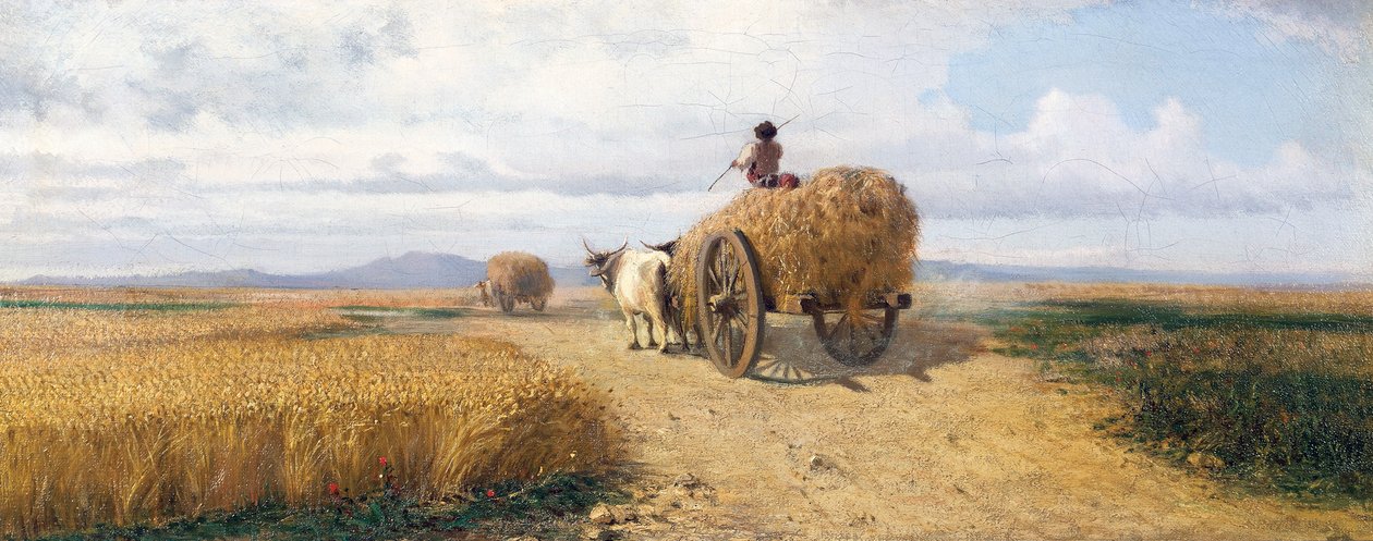 Champ de blé - Frederico Rossano