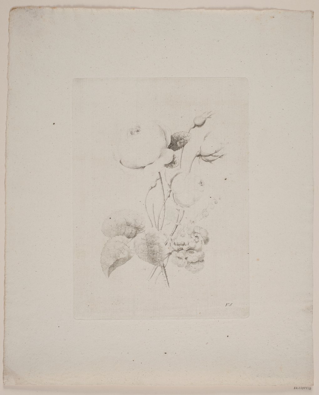 Motif floral - Frederik Schepelern