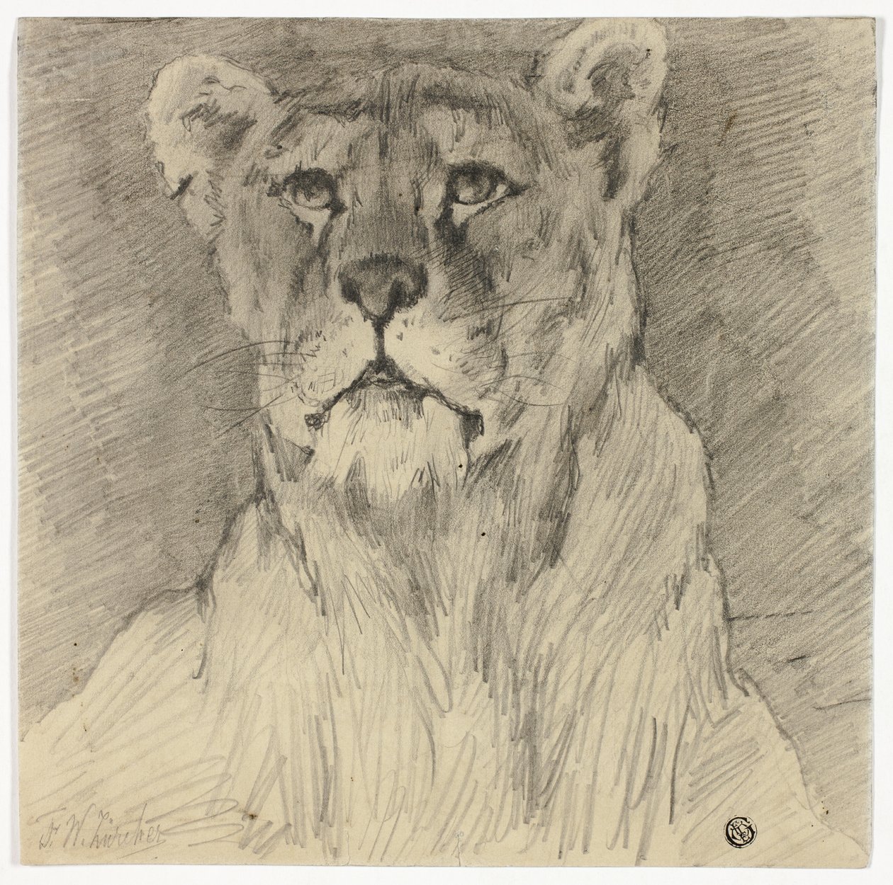 Vue de face de la lionne assise - Frederik William Zurcher
