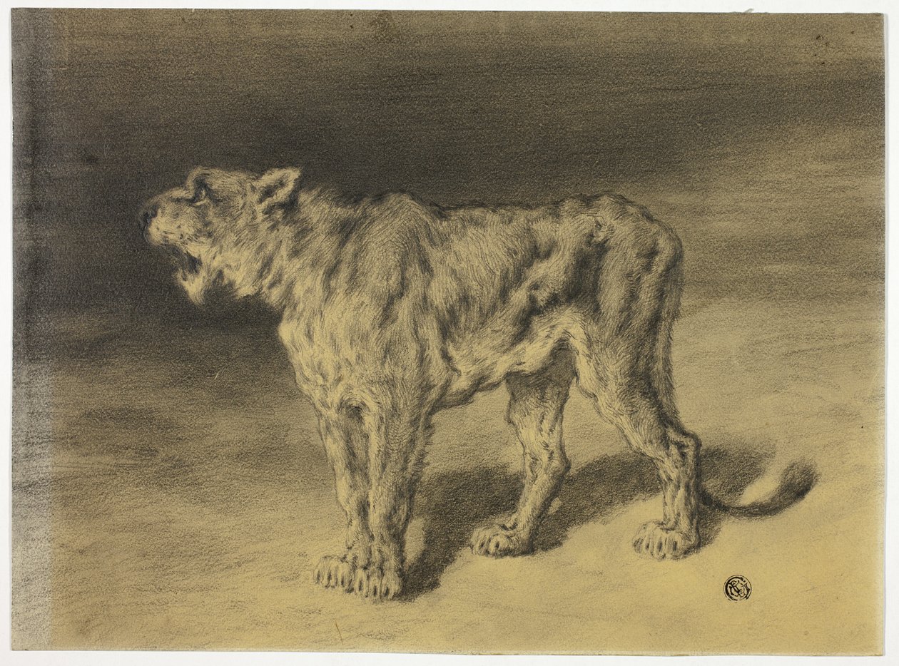 Rugissement de la lionne - Frederik William Zurcher