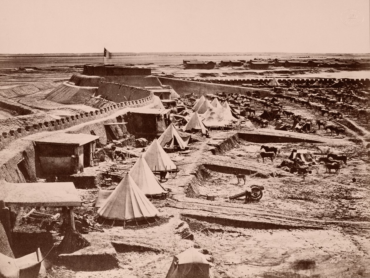 Un campement de chevaux français pendant la guerre de Chine de 1860 - French Photographer