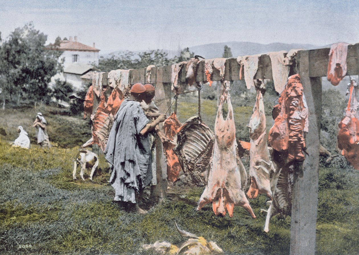 Boucherie arabe en Algérie, fin du XIXe siècle - French Photographer