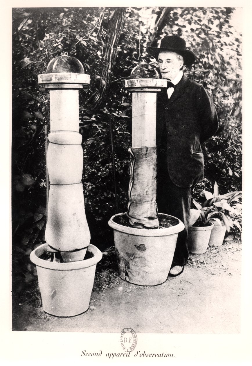 Jean-Henri Fabre (1823-1915) extrait de Souvenirs Entomologiques, publié en 1924 - French Photographer