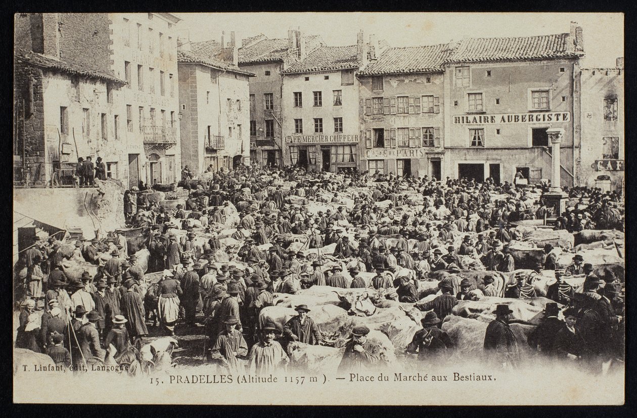 Carte postale représentant la place du marché aux bestiaux à Pradelles, vers 1900 - French Photographer