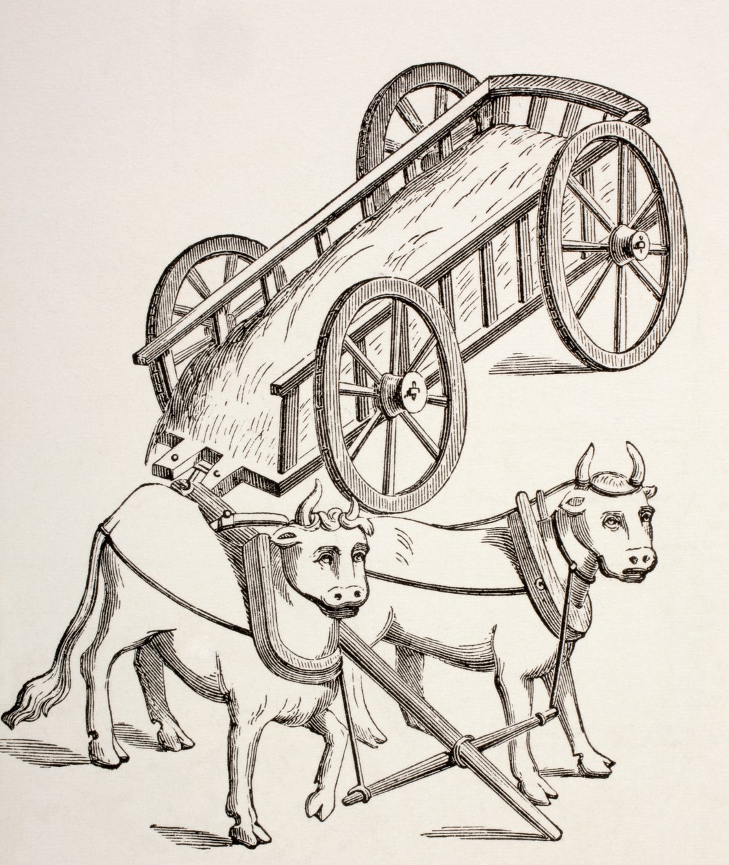 Charrette du 15ème siècle tirée par des bœufs, de 