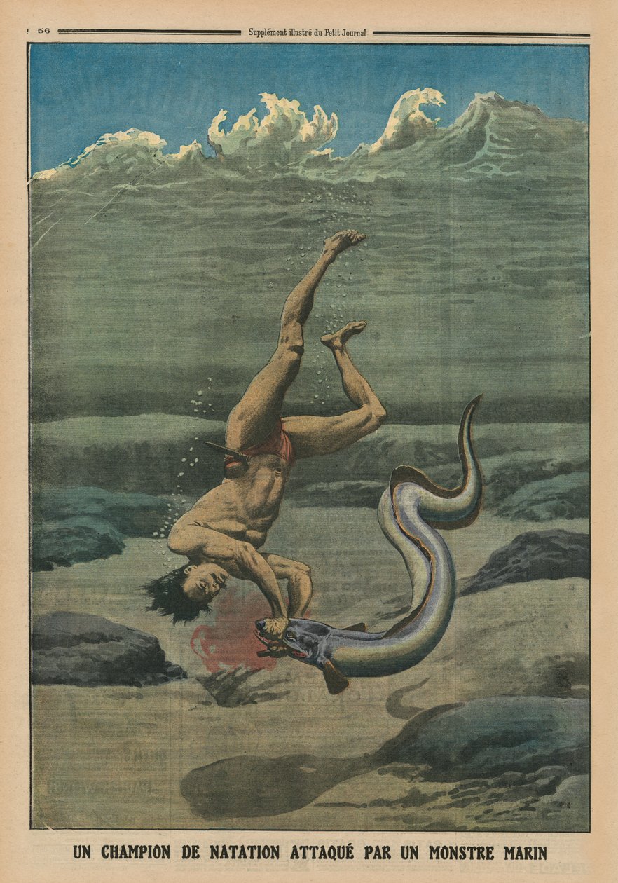 Un champion de natation attaqué par un monstre marin, illustration de couverture arrière de 