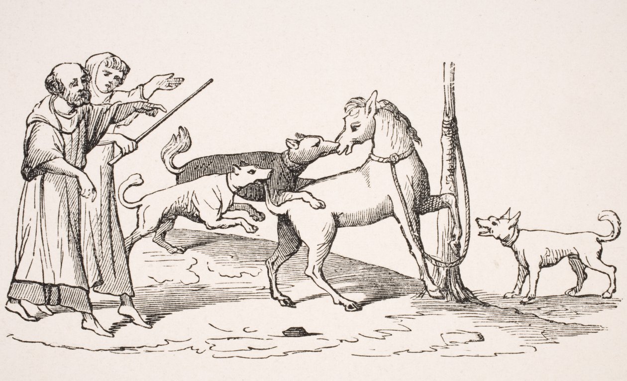Combat entre cheval et chiens, reproduction d