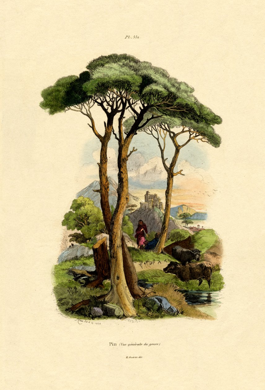Pin, 1833-39 - French School